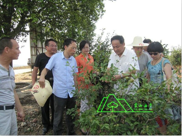 江西省油茶辦主任、工程師孫勇、省科技廳農(nóng)村工作處副處長、副調研員尹伊等基地指導工作