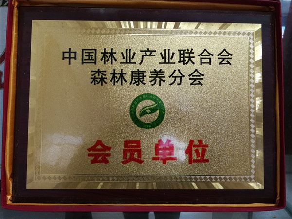中國(guó)林業(yè)產(chǎn)業(yè)聯(lián)合會(huì)會(huì)員單位